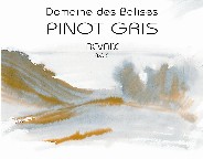 PINOT-GRIS-jpeg